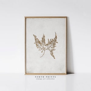 Vintage Fern Wall Art | Neutral Botanical Print | Farmhouse Decor PRINTABLE Digital | 948