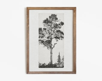 Vintage Tree Sketch | Primitive Botanical Etching Drawing Digital PRINTABLE #424