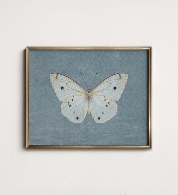 Vintage Butterfly Art Print: Farmhouse Girls Room Wall Decor (Digital PRINTABLE Download) 8-216