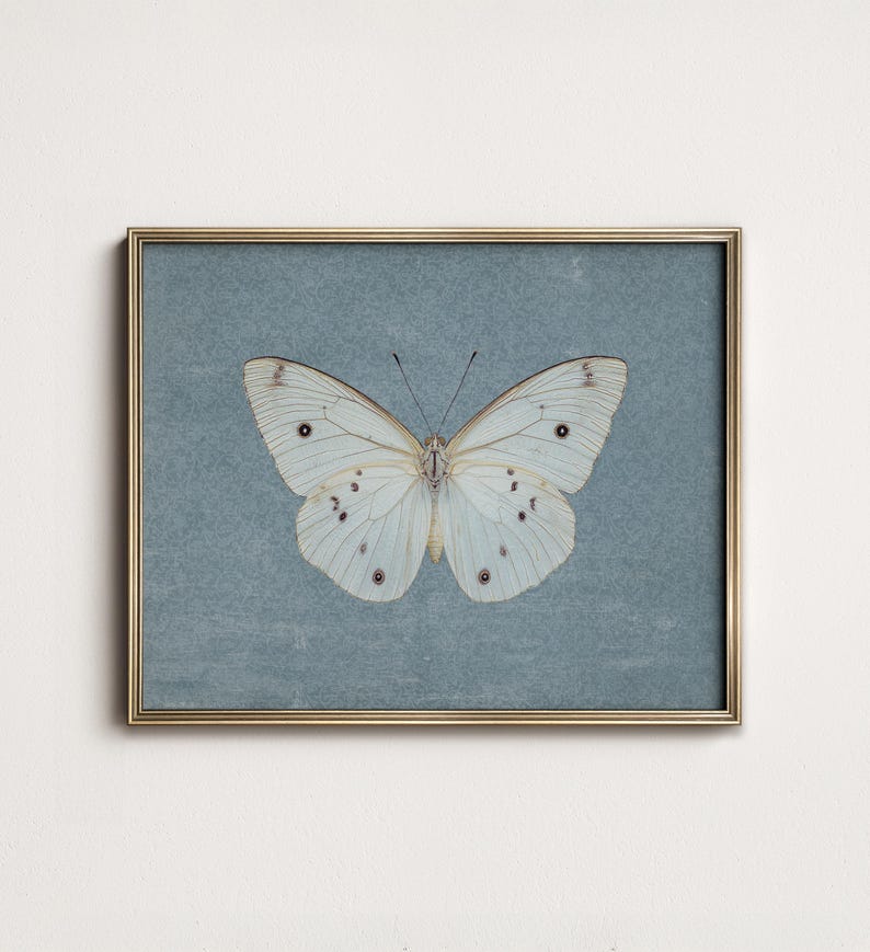 May include: A framed print of a white butterfly with black markings on a blue background.