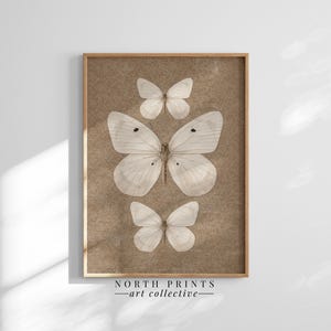 May include: A framed print of three white butterflies on a brown background. The print is titled "North Prints - art collective".