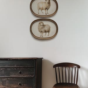 May include: Two oval framed prints of sheep hang on a white wall. The frames have a gold finish. A dark wooden dresser and chair are in the foreground. The text "NORTH PRINTS art collective" is at the bottom.