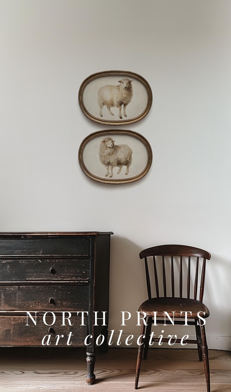 May include: Two oval framed prints of sheep hang on a white wall. The frames have a gold finish. A dark wooden dresser and chair are in the foreground. The text "NORTH PRINTS art collective" is at the bottom.