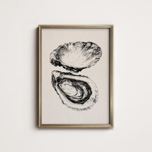 May include: A framed print featuring a detailed black and white illustration of two oyster shells. The artwork has a vintage aesthetic, with the shells depicted in a realistic style against a neutral background. The frame is gold.
