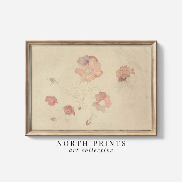 Girls Room Antique Botanical Pink and Cream Watercolor Painting | Bedroom Art PRINTABLE Digital Wall Art North Prints | 6-22