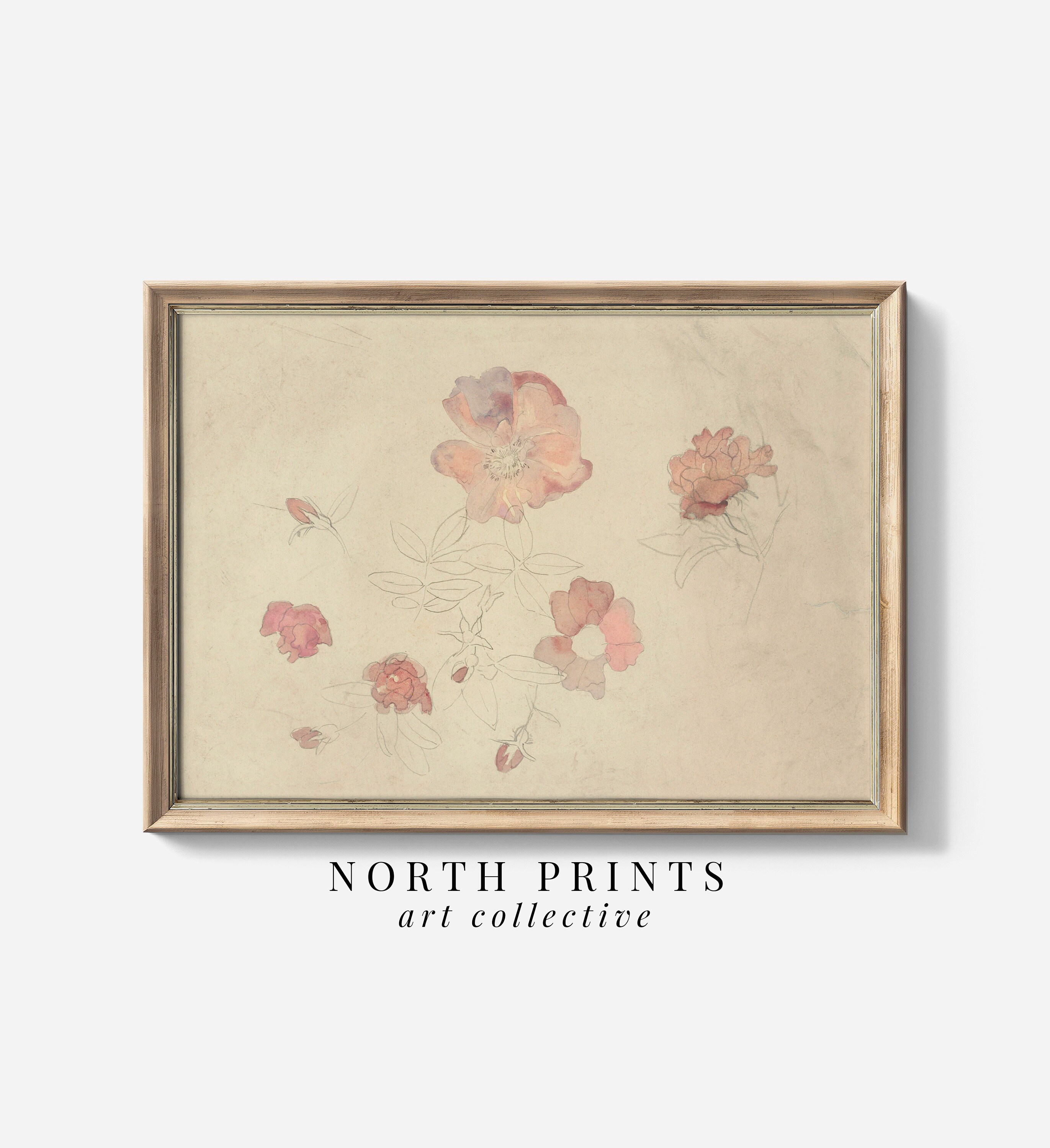 Antique Pink Floral Watercolor Painting: Girls Room Botanical Art (Printable Digital Download) 6-22