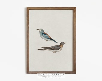 Vintage Bird Art | Minimalist Farmhouse Decor Watercolor PRINTABLE #606