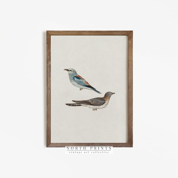 Vintage Bird Art | Minimalist Farmhouse Decor Watercolor PRINTABLE #606