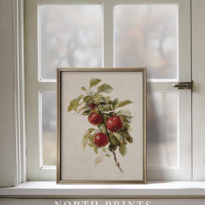 Peut inclure: Une impression d'art encadr&eacute;e repr&eacute;sentant une aquarelle de pommes rouges sur une branche avec des feuilles vertes. L'impression est dans un cadre dor&eacute; et repose sur un rebord de fen&ecirc;tre blanc. Le texte "NORTH PRINTS art collective" est en bas.