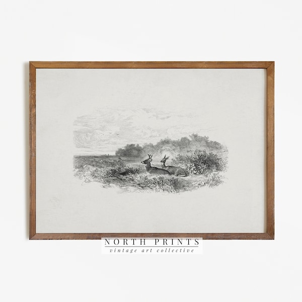 Vintage Deer Sketch | Woodland Landscape Drawing PRINTABLE Digital Antique Print | 779