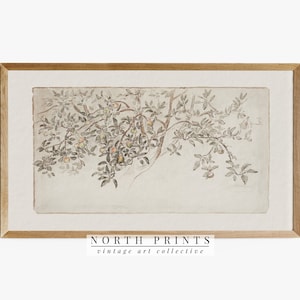 May include: A framed vintage botanical print featuring a tree branch with leaves and small fruits. The artwork is in muted tones of beige, brown, and green, with the text "NORTH PRINTS vintage art collective" at the bottom.