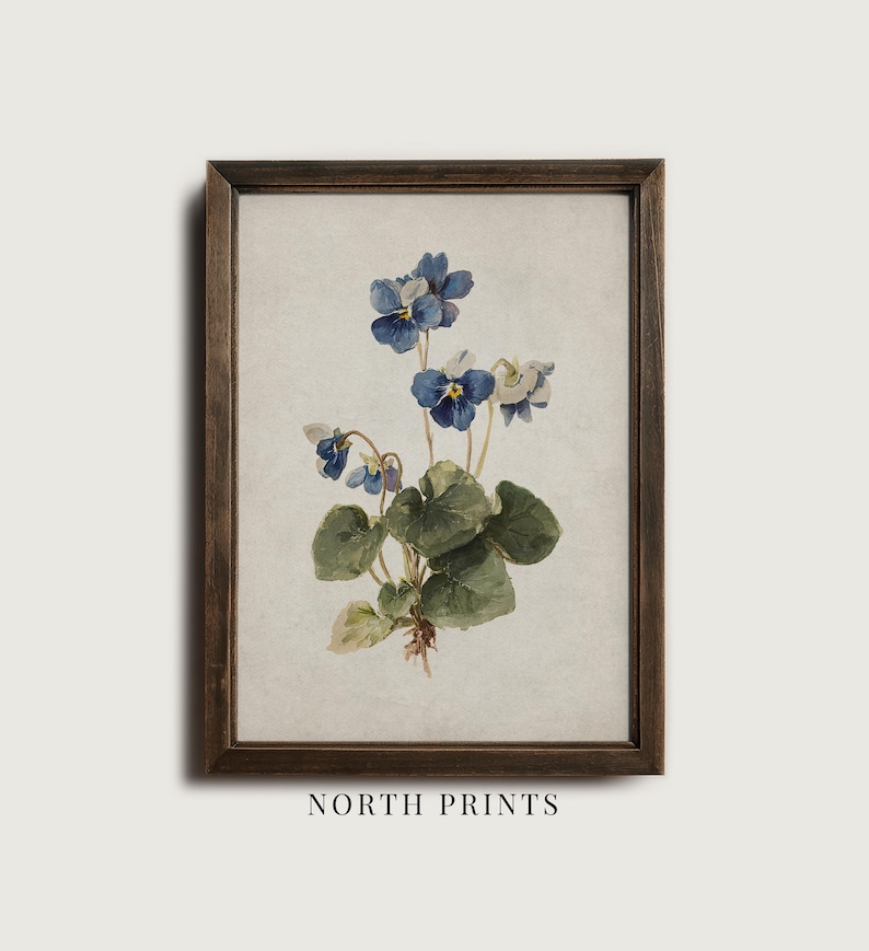 K&ouml;nnte beinhalten: Ein gerahmter botanischer Druck mit einer Aquarellillustration von blauen und wei&szlig;en Veilchen mit gr&uuml;nen Bl&auml;ttern. Das Kunstwerk ist vor einem neutralen Hintergrund platziert und in dunklem Holz gerahmt. Der Text "NORTH PRINTS" befindet sich unten.
