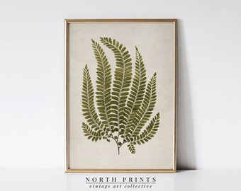 French Country Vintage Fern Print | Neutral Dark Green Botanical Wall Art PRINTABLE DIGITAL Downloadable | 5-219