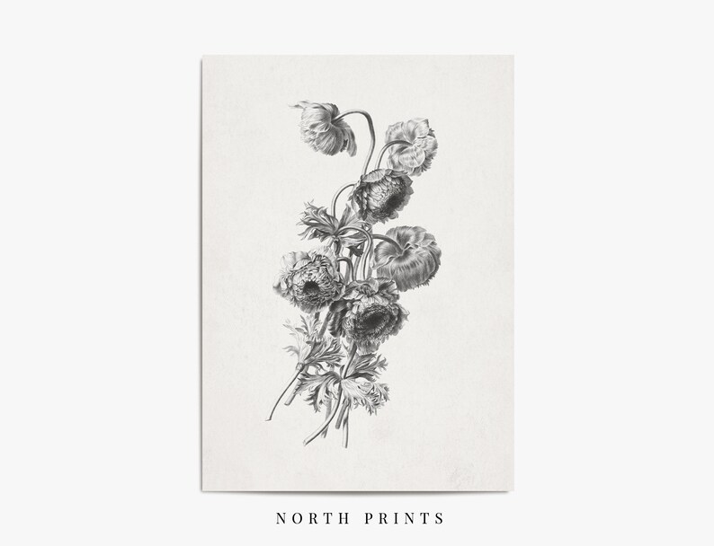 Neutral Flower Drawing Vintage Botanical Sketch Antique - Etsy