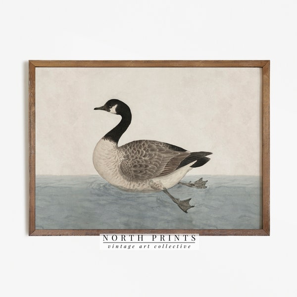 Vintage Canada Goose Painting | Rustic Home Decor | Lake House Art Digital PRINTABLE | 1042