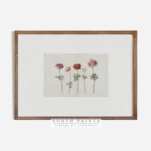 Vintage Botanical Print | Flower Watercolor | Farmhouse Wall Decor Digital PRINTABLE North Prints #463
