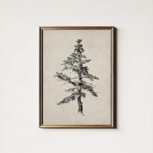 May include: A black and white line drawing of a pine tree in a gold frame on a white wall.