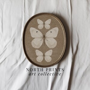 May include: A framed print of three white butterflies on a brown background. The frame is gold and has a simple design. The text "NORTH PRINTS art collective" is printed below the frame.