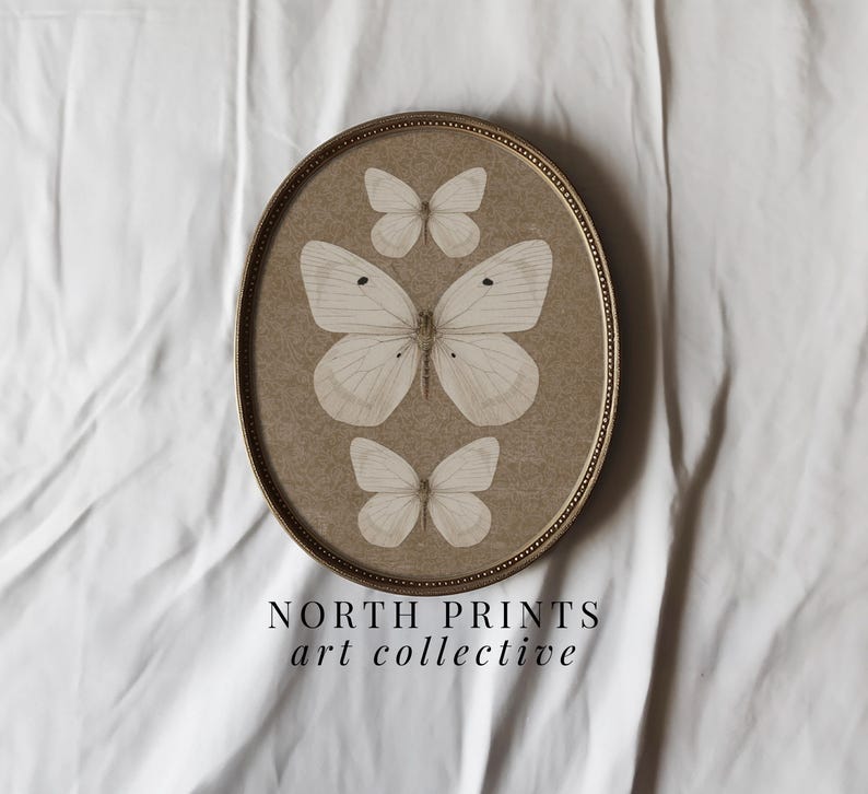 May include: A framed print of three white butterflies on a brown background. The frame is gold and has a simple design. The text "NORTH PRINTS art collective" is printed below the frame.