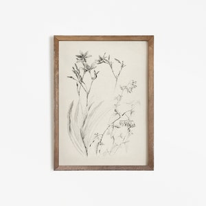 K&ouml;nnte beinhalten: Eine gerahmte Schwarzwei&szlig;-Botanische Illustration einer Blume mit Bl&auml;ttern und Beeren.