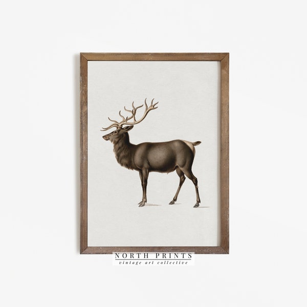 Vintage Reindeer Wall Art | Farmhouse Christmas Winter Print | Digital PRINTABLE Downloadable | 1199