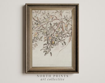 Vintage Apple Tree Print | Neutral Farmhouse Wall Art | PRINTABLE Download Country Sketch | 1155