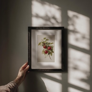 Peut inclure: Une impression encadr&eacute;e &agrave; l'aquarelle d'une branche avec des pommes rouges et des feuilles vertes. L'&oelig;uvre est dans un cadre en bois fonc&eacute; avec un passe-partout blanc. L'image est tenue par une main, avec des ombres sur le mur.