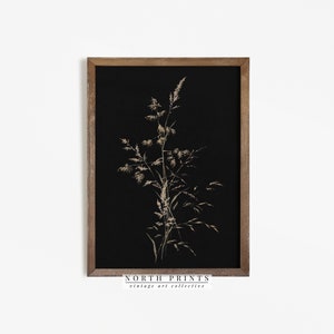 Dark Vintage Botanical Print | Moody Black Autumn Wall Decor | Fall PRINTABLE Digital Art North Prints 4-32