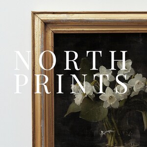 May include: A framed print of a still life featuring white flowers in a glass vase. The print is in a gold frame with a distressed finish. The text "NORTH PRINTS" is visible in the image.