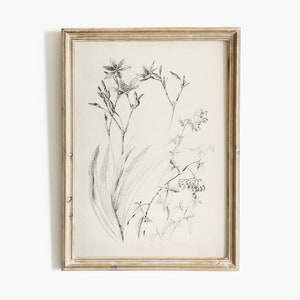 May include: A framed black and white botanical illustration of flowers and leaves. The frame is a light wood color.