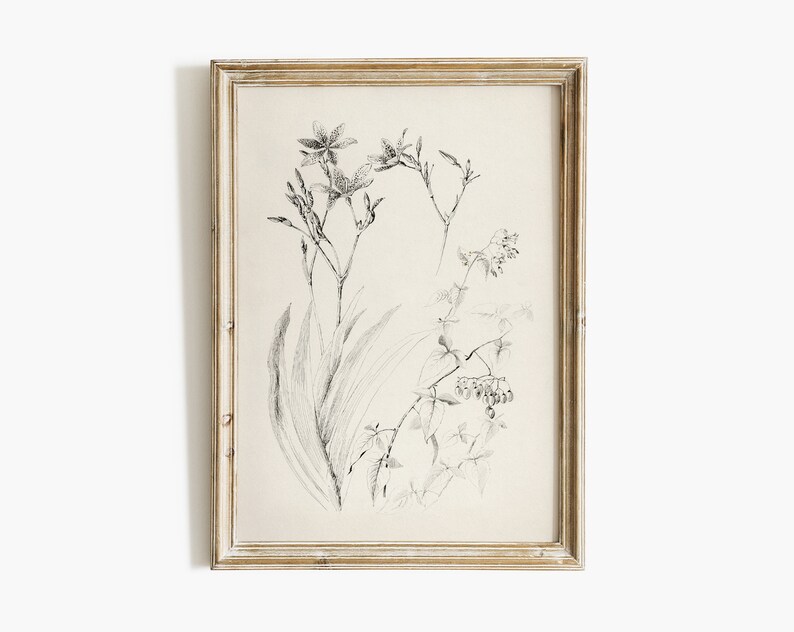 May include: A framed black and white botanical illustration of flowers and leaves. The frame is a light wood color.