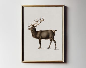 Vintage Reindeer Wall Art, Farmhouse Christmas Winter Print, Digital PRINTABLE Downloadable North Prints W79