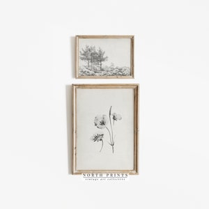 Op de afbeelding: Twee ingelijste zwart-witprints, een van een boslandschap en de andere van een enkele bloem, hangen aan een witte muur. De onderste lijst heeft de tekst "NORTH PRINTS vintage art collective".