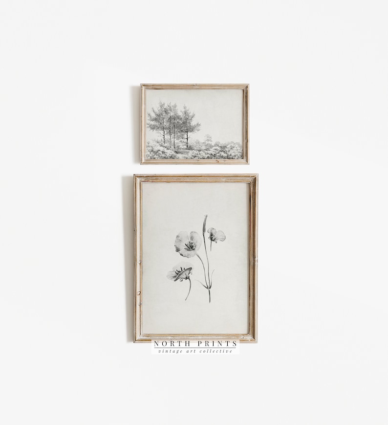 Op de afbeelding: Twee ingelijste zwart-witprints, een van een boslandschap en de andere van een enkele bloem, hangen aan een witte muur. De onderste lijst heeft de tekst "NORTH PRINTS vintage art collective".