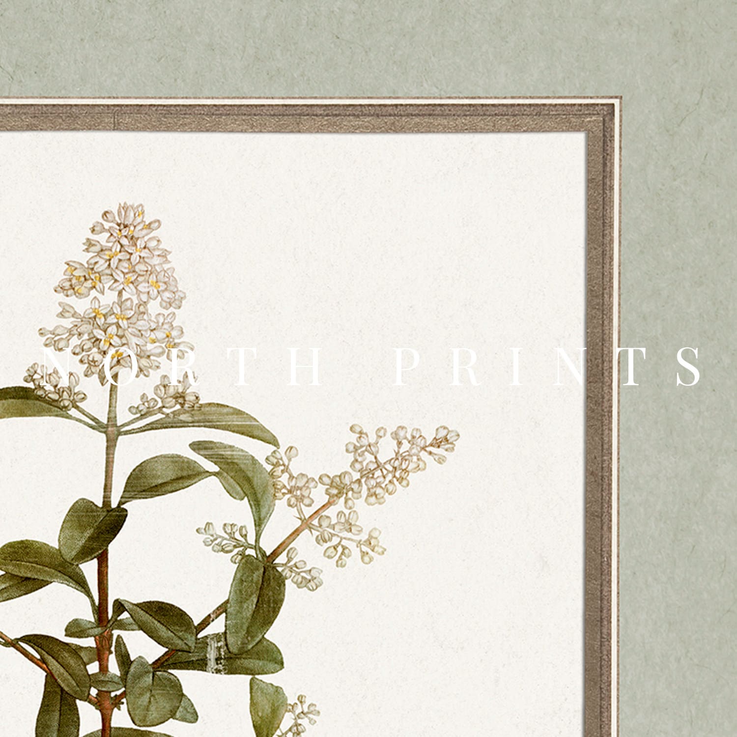 BOTANICAL ART 【import品】 BOTANICAL ART 【import品】 flowers-garden-victorian-