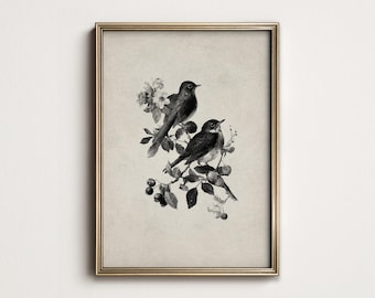 Impression botanique d'oiseau : art antique d'oiseau chanteur de pays Français (téléchargement numérique imprimable) 9-205