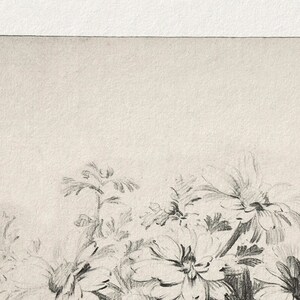 May include: A black and white pencil drawing of a bouquet of flowers. The flowers are drawn in a realistic style, with detailed petals and leaves. The drawing is on a white background.