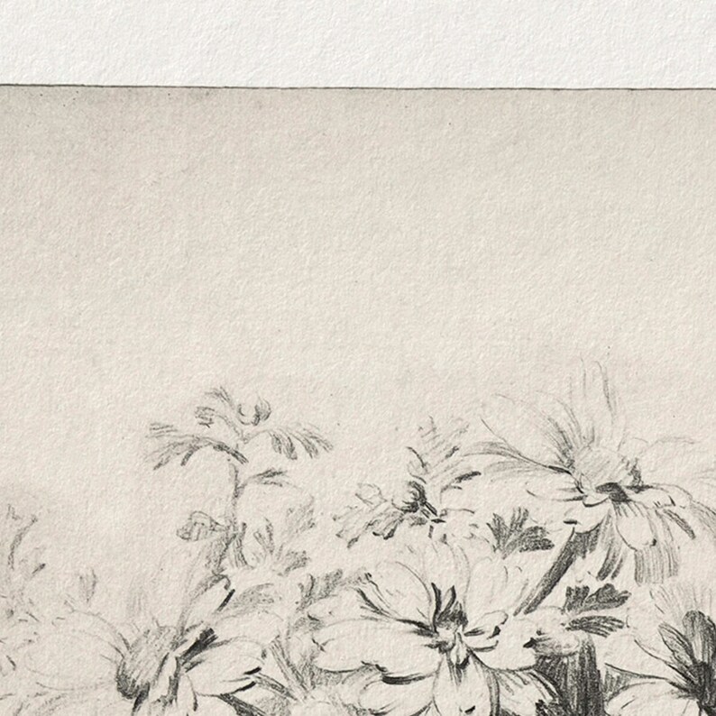 May include: A black and white pencil drawing of a bouquet of flowers. The flowers are drawn in a realistic style, with detailed petals and leaves. The drawing is on a white background.