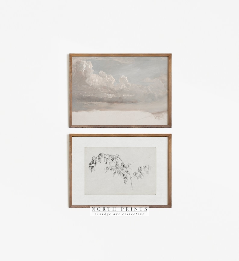May include: Two framed art prints. The top print depicts a cloudy sky in shades of gray, brown, and blue. The bottom print is a black and white sketch of a plant. The frames are a light brown color. The text "NORTH PRINTS vintage art collective" is at the bottom.