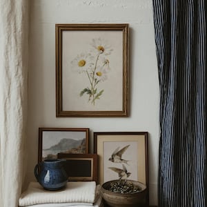 Op de afbeelding: Een stilleven met ingelijste botanische prenten en een blauwe keramische kan. De prenten tonen madeliefjes en zwaluwen. Een stapel wit linnen en een houten kom met gedroogde bloemen zijn ook zichtbaar.