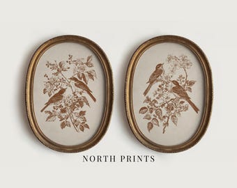 Antique Songbird Print Set, Vintage Botanical Wall Art, Bronze Copper Brown PRINTABLE Wall Art (Digital Download) S2-171