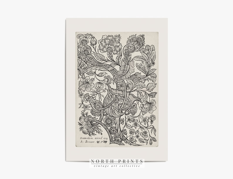 K&ouml;nnte beinhalten: Schwarzwei&szlig;es Vintage-Illustration eines floralen Designs mit komplizierten Details. Das Bild stammt aus Amsterdam, 1629, von A. Schenck.
