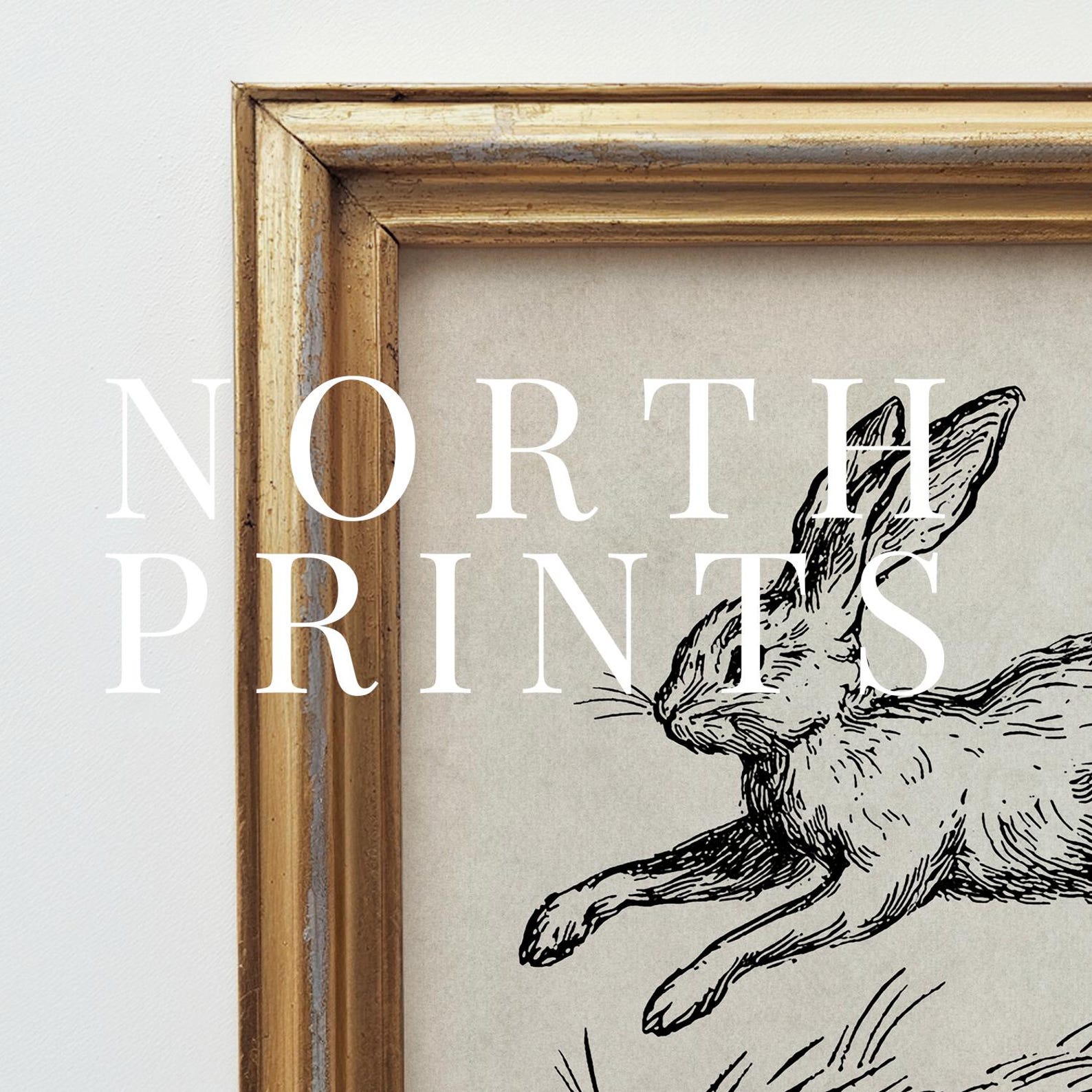 Rustic Rabbit Sketch Print: Neutral Nursery Decor (digital Download ...