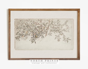 Vintage Apple Tree Sketch | Antique Botanical Drawing | Rustic Country Art Print Digital PRINTABLE Wall Art #181