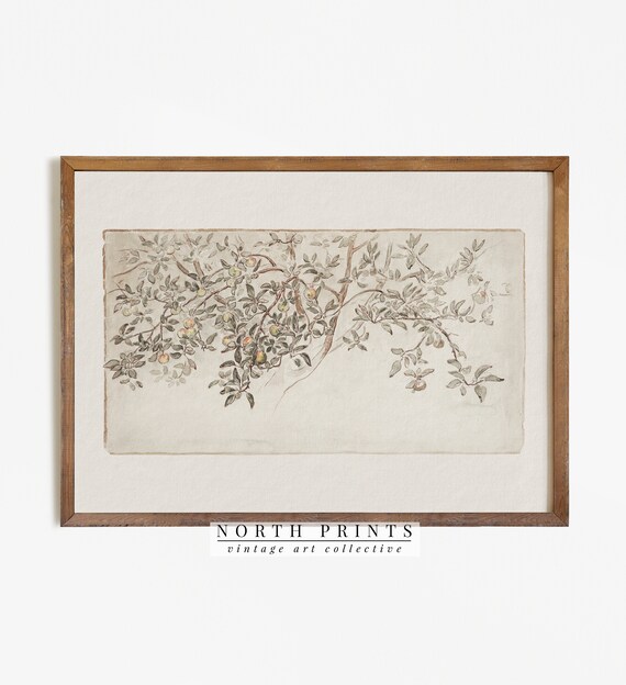 ヴィンテージ リンゴの木のスケッチ | アンティーク 植物画 | 素朴な 