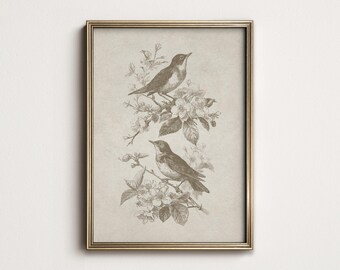 Impression botanique antique d'oiseau chanteur : art mural de campagne française (téléchargement numérique imprimable) 10-2