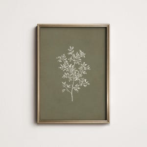 Olive Green Botanical Print: French Country Wall Art (Digital Download PRINTABLE) 9-191