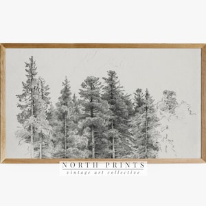 Samsung Frame TV Art | Vintage Neutral Pine Tree Sketch DIGITAL Art #TV146