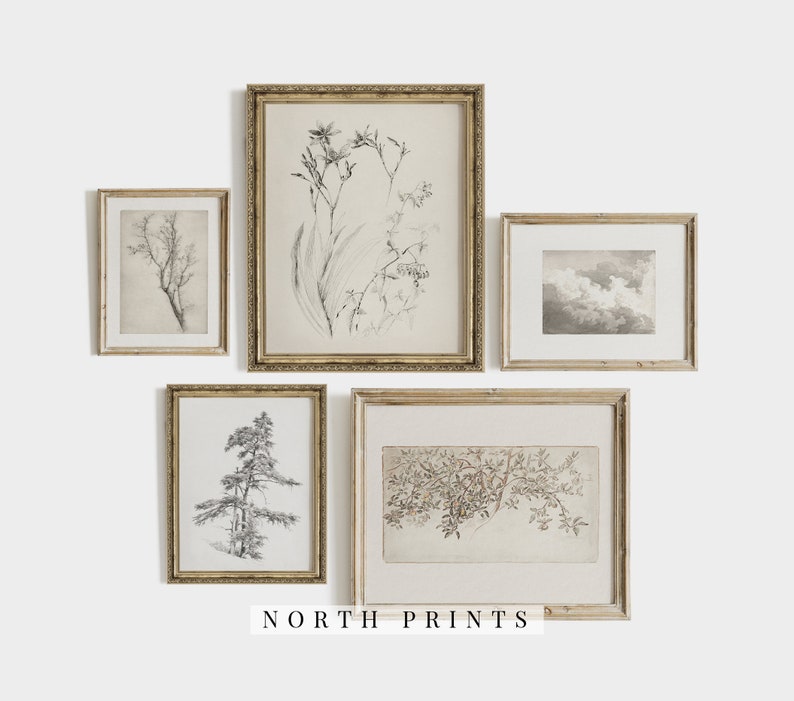 K&ouml;nnte beinhalten: Satz von f&uuml;nf gerahmten Drucken mit Schwarzwei&szlig;- botanischen Illustrationen. Die Drucke sind in einfachen, hellen Holzrahmen und zeigen verschiedene florale und Baummotive.