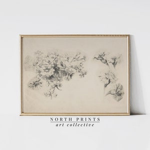 Art antique neutre de croquis botaniques | vintage déco murale country dessin | North Prints imprimable en téléchargement numérique SK1-04